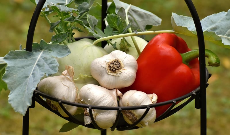 Wholesome Vegetables